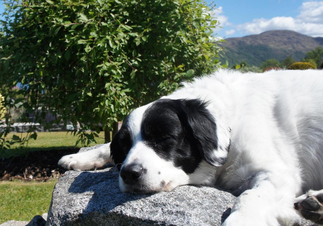 The Allanbreck Studio Glencoe Ballachulish Highlands Near Fortwilliam Ngoại thất bức ảnh